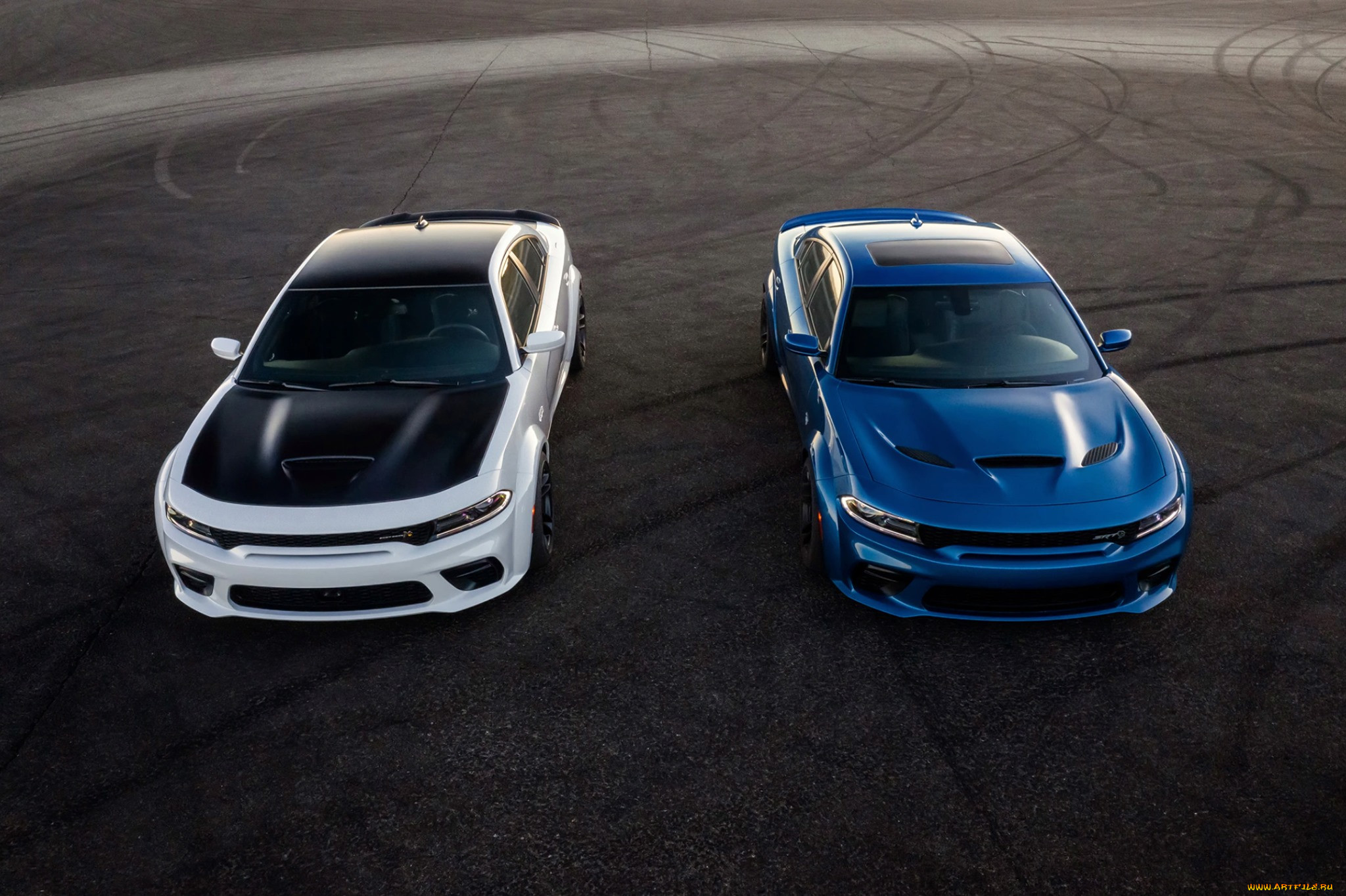 , dodge